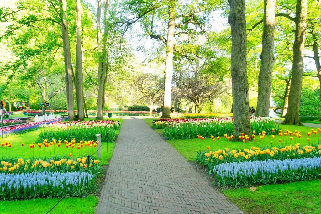 Formal spring garden